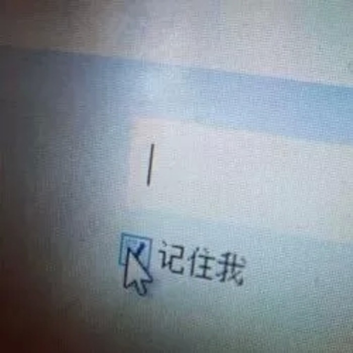 孤独时代 ☼ 文字集