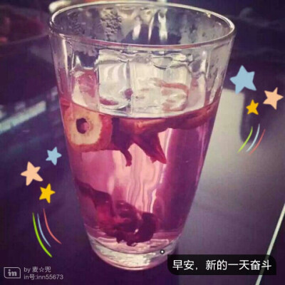 【麦☆兜洛神花】洛神花花语：宁静、等待  洛神的血泪幻化而成的洛神花，红艳粲然！酸甜的味道，给人恋爱的感觉！ 你可能恋上一座城，为之倾城；而梅子恋上的却是一种味道，此为洛神✌