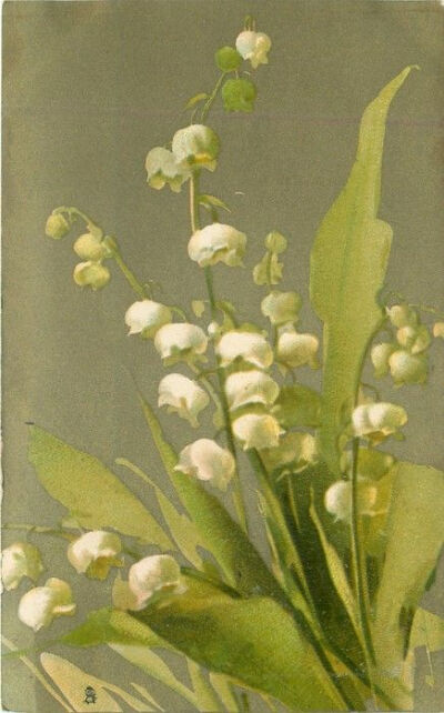 Catherine Klein - Lily-of-the valley, 1907