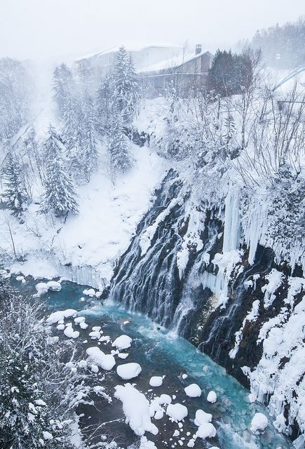 Blue pond in Biei, Hokkaido, Japan。日本北海道上川郡美瑛町的青池。青池是1988年十胜岳火山爆发，因工程修筑堰堤而形成的湖泊，美瑛川中的矿物质和土砂质成份和阳光照耀，使得湖泊呈现出青绿色的色泽，白桦树的枯木更增添几许诗意。每当清晨到来，在阳光的照射下，青池的池水反射出如同经典Tiffany蓝的颜色，整个池面如画布一般，美得令人惊叹。