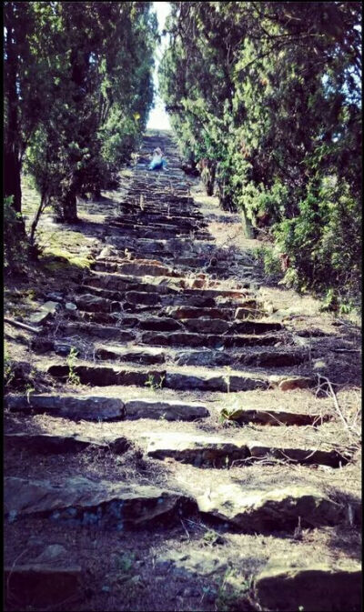 我好像总学不会把感情控制的刚刚好.