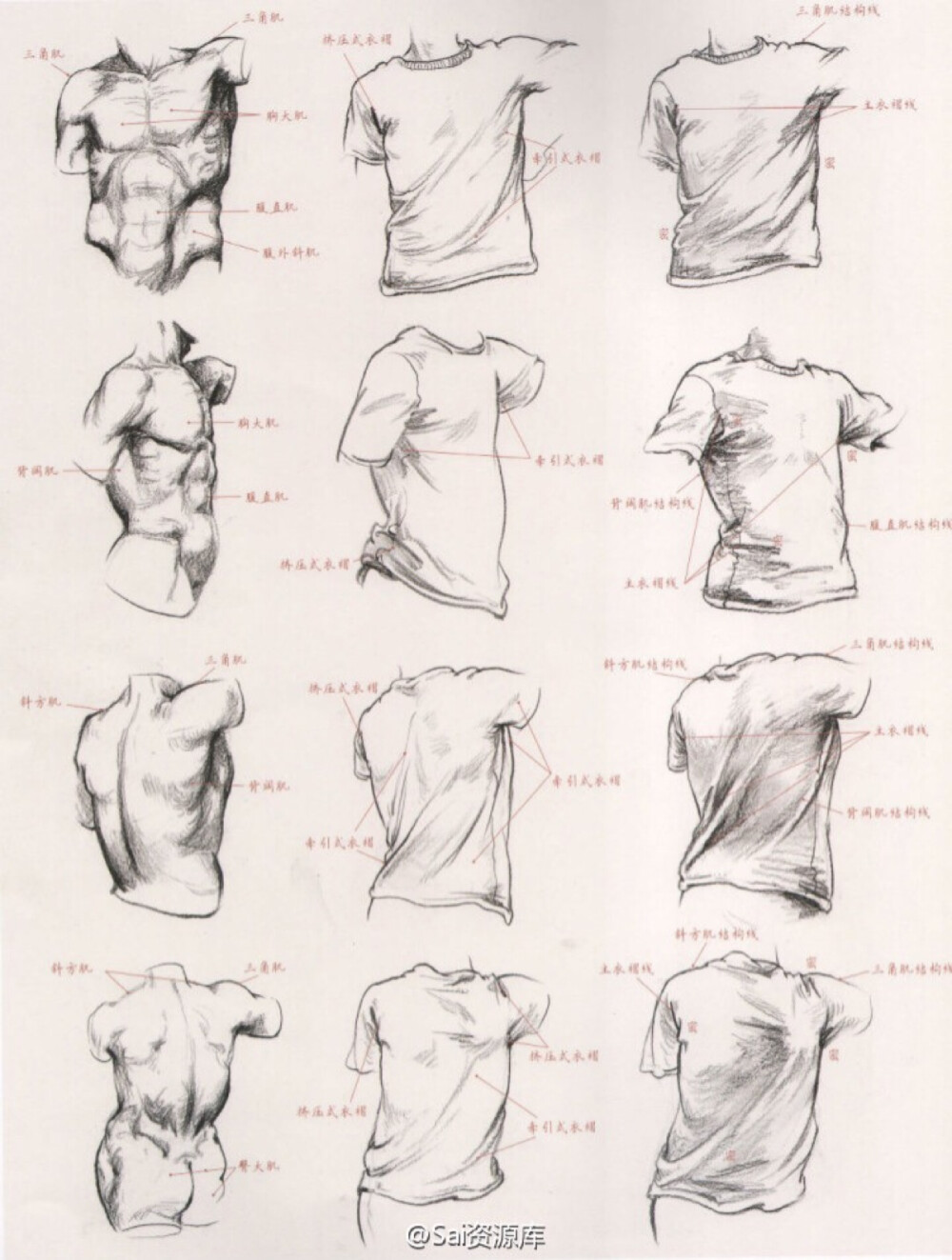 衣褶与人体结构