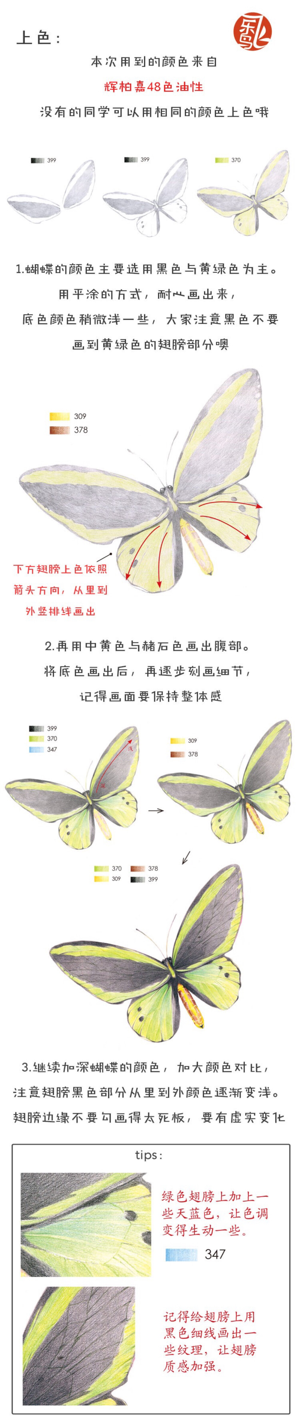 飞乐鸟彩铅绘画教程 侵删