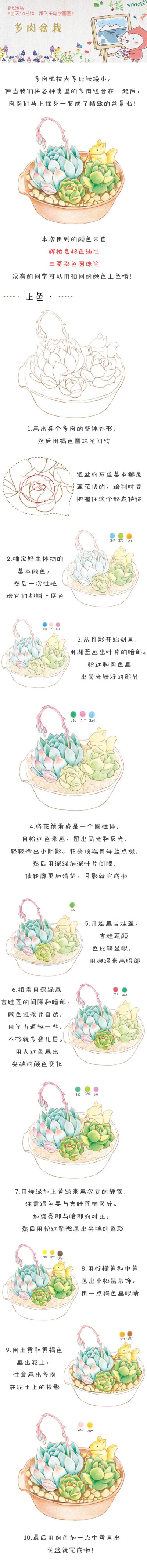 飞乐鸟彩铅绘画教程 侵删 多肉