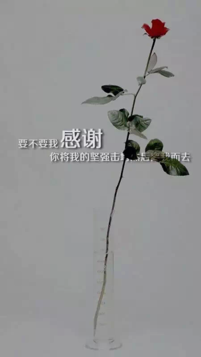 你是我的盔甲 可是你离开 就成了我的软肋