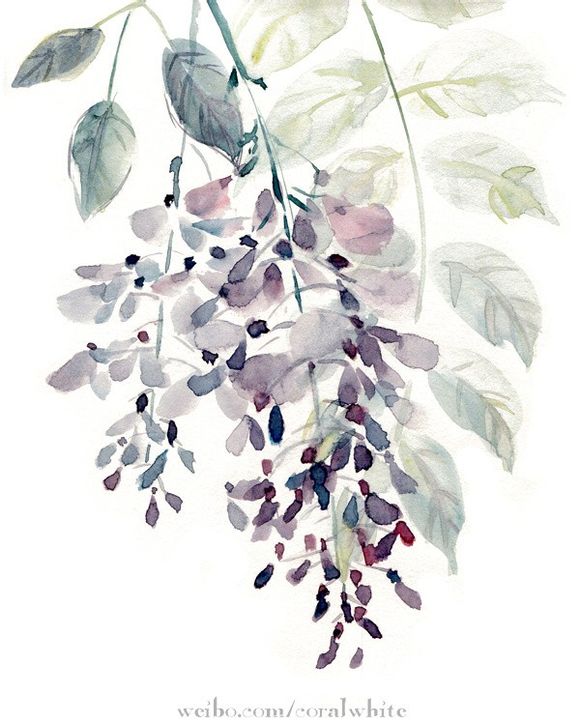 花草.手绘.水彩