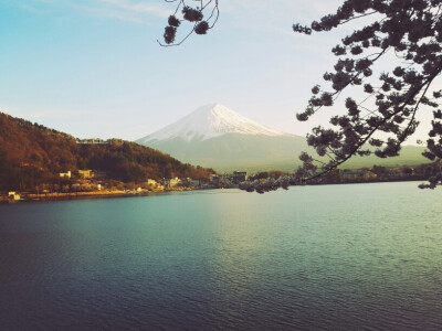 富士山