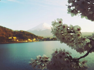 超美富士山壁纸樱花壁纸