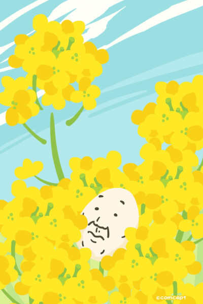 春风洋溢的大叔蛋