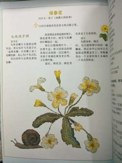 报春花毛线刺绣