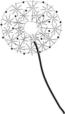 刺绣蒲公英有图解了