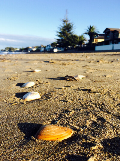 Takapuna