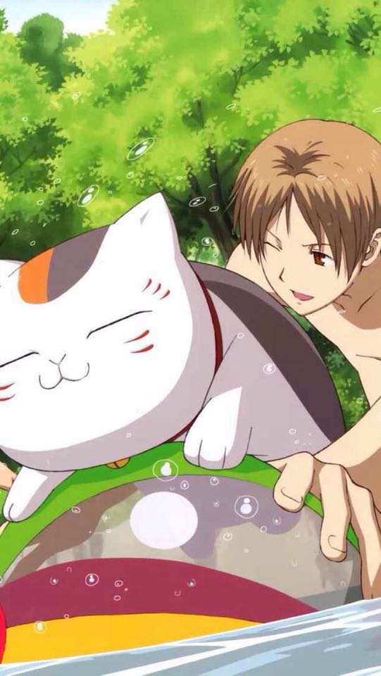 夏目猫咪老师