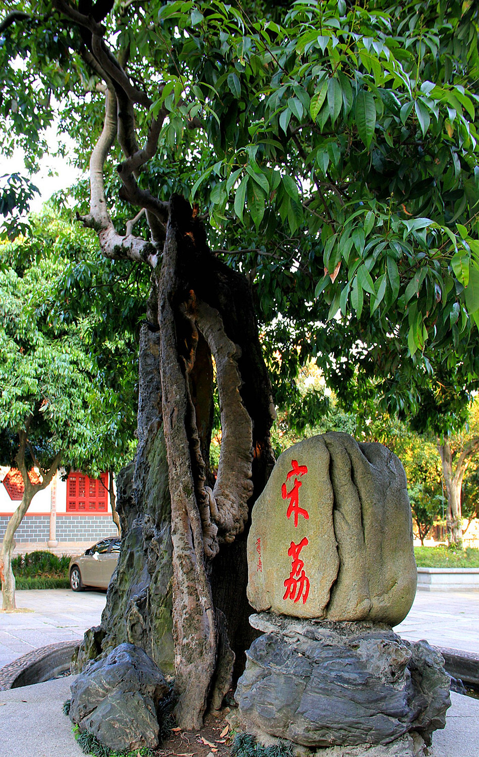 福州西禅寺名列福州五大禅林之一。据史载，西禅寺所在地怡山产荔，始于唐朝而盛于宋朝。宋代书法家蔡襄的&amp;quot;荔子丰标全台夏&amp;quot;诗句，便是明证。西禅寺在建寺之初，就遍植荔枝树，其中多为佳果。荔枝红熟之际，寺内就会举办&amp;quot;怡山啖荔&amp;quot;盛会。1100多年来，&amp;quot;怡山啖荔&amp;quot;的风俗，一直流传至今。（这株宋荔，树干内早已朽空，仅剩下一层不到10厘米厚的残存树皮，不但顽强地生存下来，而且枝叶茂盛，堪称奇迹。荔树前有一石刻，昭示&amp;quot;宋荔&amp;quot;。）