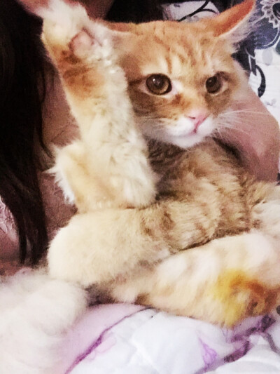 闲来无事 掰个腿