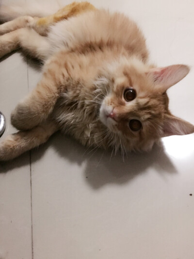 怎样 睡姿妖娆吧