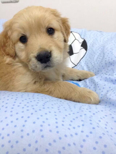 小呆童年的皂片