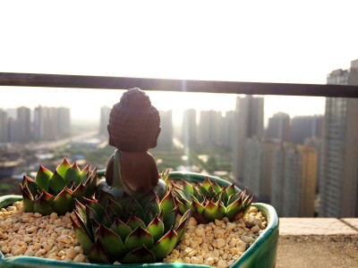 我想陪你看世界