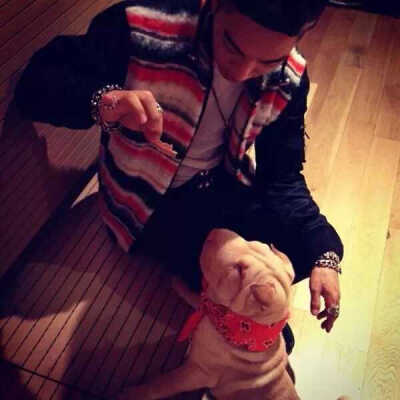 GD and 家虎