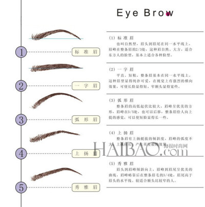 眉型的种类 夏天到了 准备把整个脸蛋露出来的菇凉可以收着哦