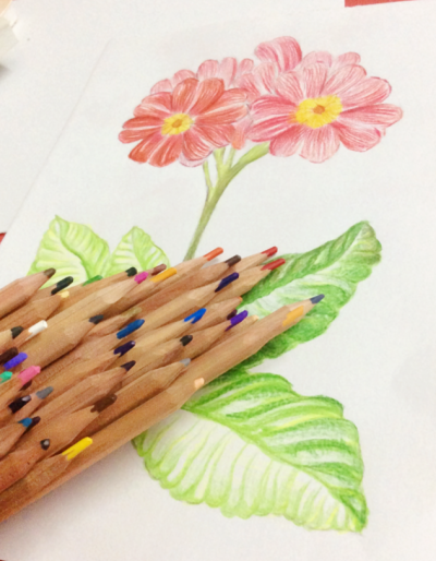 #我们都是文具控#彩铅~~