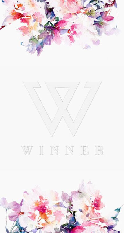 winner logo 壁纸