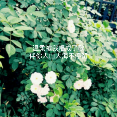 燕池——人海