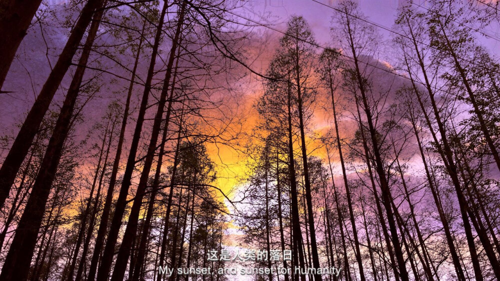 这是人类的落日!