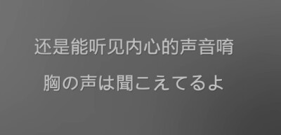 恋。仓木麻衣。