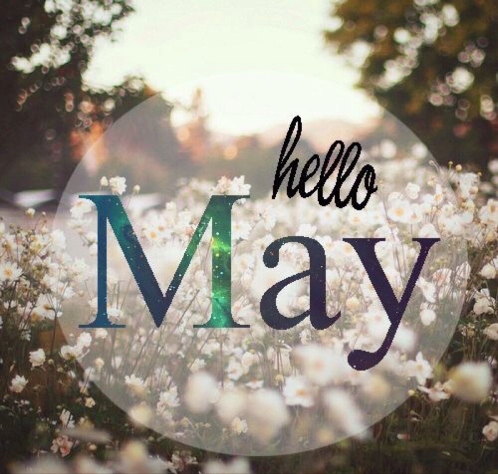 【你好 五月】壁纸 插画 素材 唯美 拍摄 文字