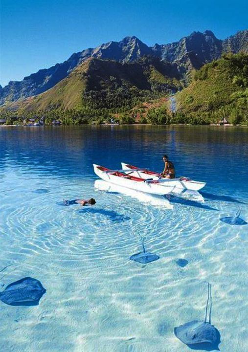 Bora Bora, French Polynesia。博拉博拉岛（波拉波拉岛），法属波利尼西亚。太平洋东南部社会群岛岛屿。全岛由一个主岛与周围环礁所组成，主岛与环礁间拥有大片的清澈浅水，其中，色彩如梦幻般的蓝色潟湖(Lagoon)，充满了色彩斑斓的活珊瑚与无数环游其间的热带鱼，岸上沙滩细致、洁白如雪，偶有赤道微风轻拂，明亮的阳光洒在南太平洋上，不同层次的海蓝与顶级度假饭店的白色洋伞，让博拉博拉岛成为欧美观光客心中最无忧无虑的热带天堂。“太平洋上的明珠”、“距天堂最近的地方”、“梦之岛”，人们把这些美丽而浪漫的称呼赋予了博拉博拉岛。