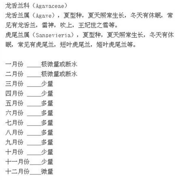 多肉植物浇水分量