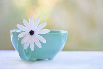 香，消在风起雨后，无人来嗅