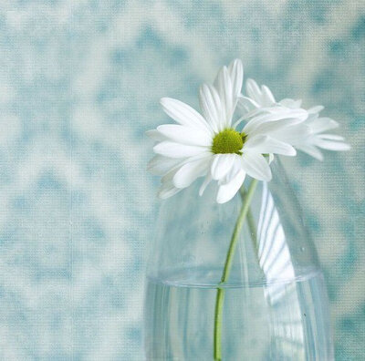 香，消在风起雨后，无人来嗅