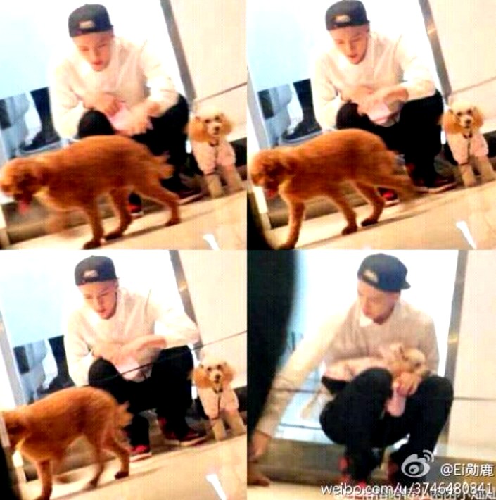 四格图！可爱！