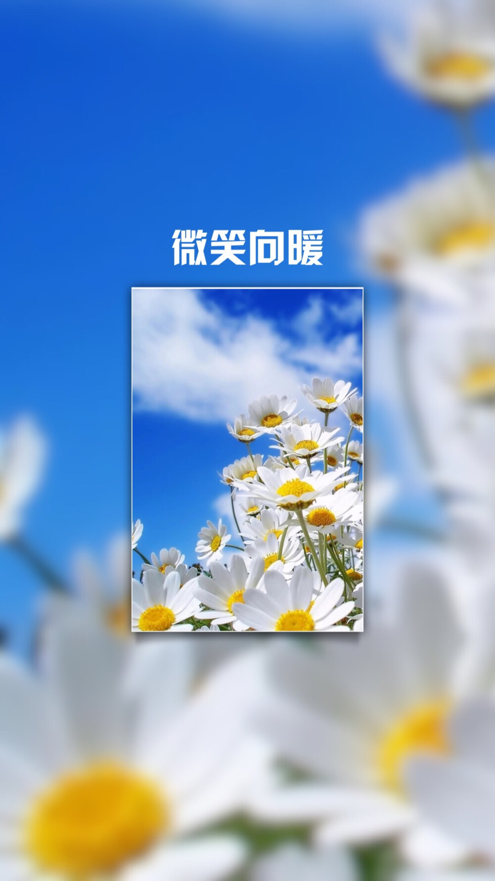 壁纸微笑向暖锁屏