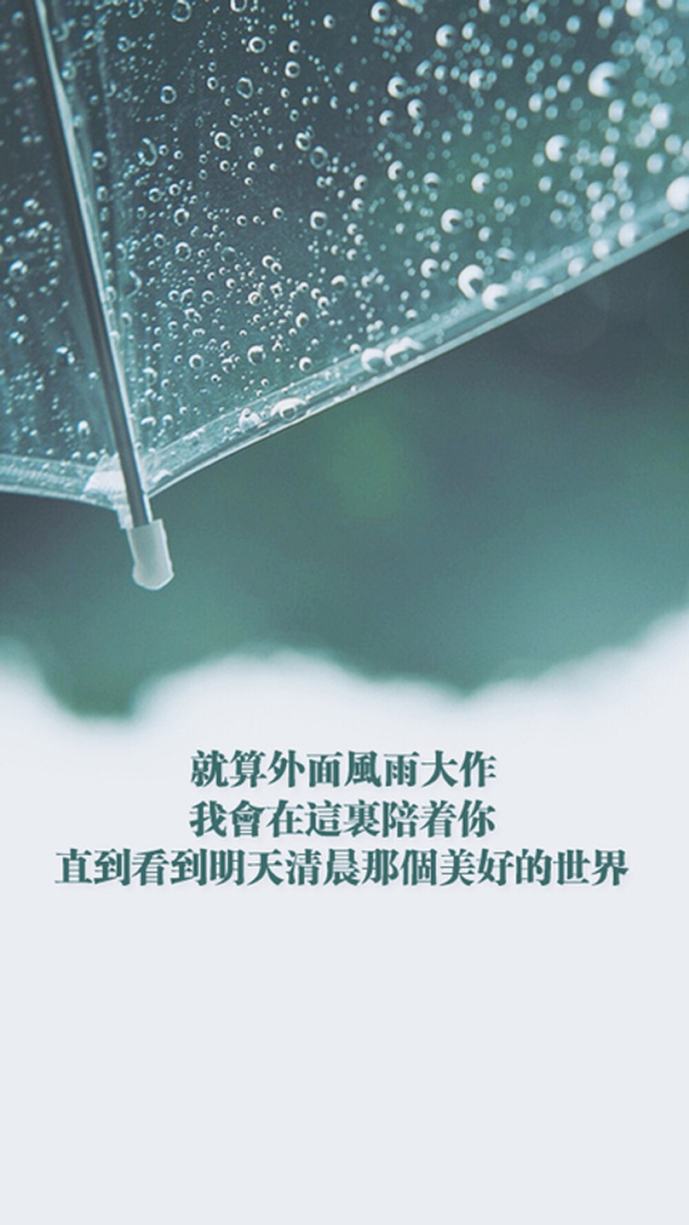 我知道下雨天是一个人最孤单的时候。可是我愿意当你雨天里的太阳