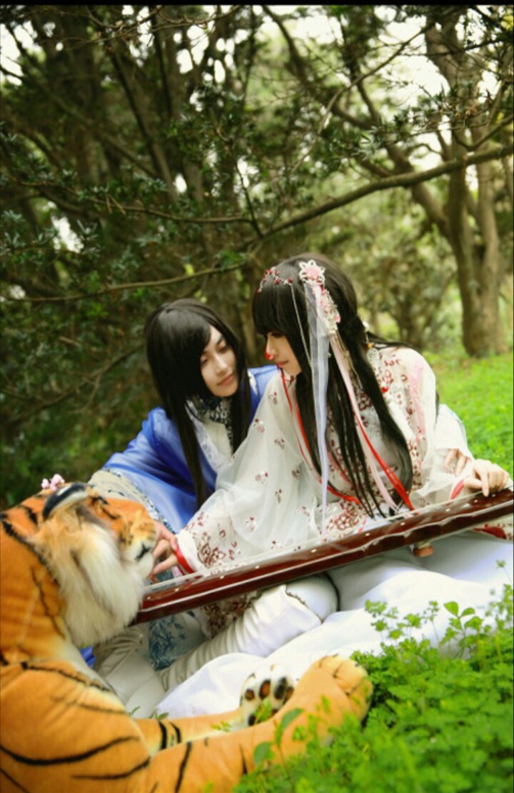 华胥引 君拂 慕言 cn井井 二宝