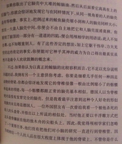 德国人认为脊椎是没有发育完全的脑壳