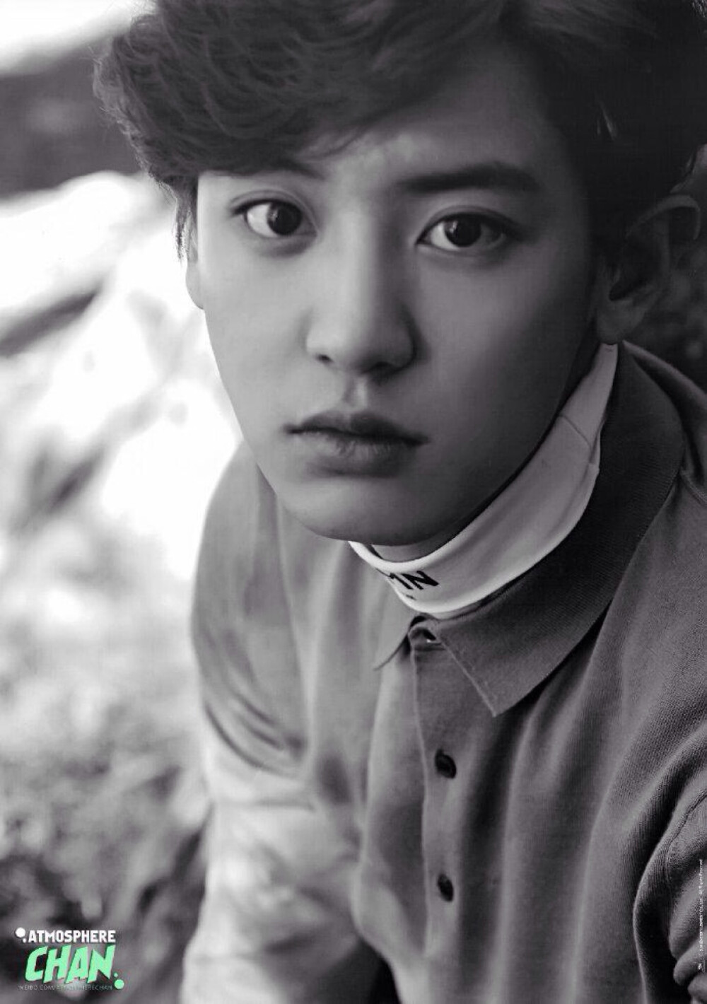 EXO Official Goods Preview 朴灿烈 chanyeol