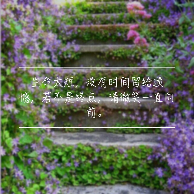 ＃语录，文字，励志，情感，文字壁纸，壁纸，插图，风景，原创设计，手写＃