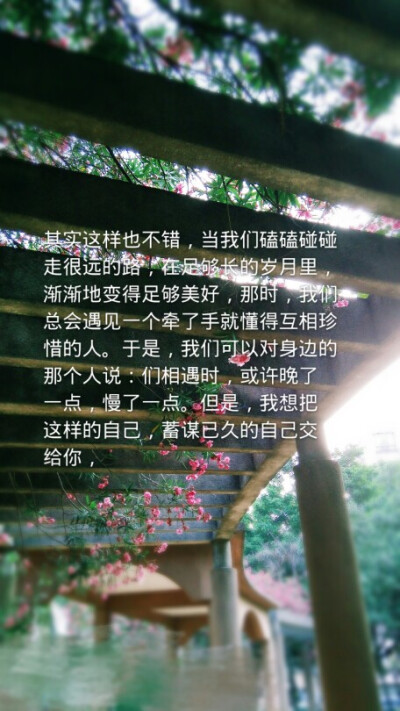 自制壁纸 勿商用 其他的喜欢就抱走啦