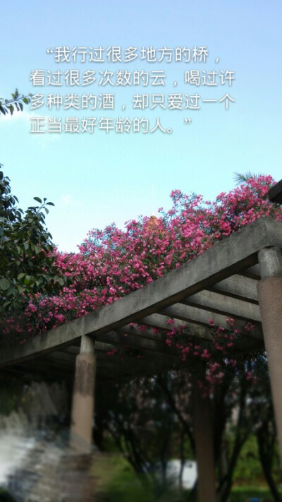 随手拍的照片的 觉得只有图干巴巴的就配了些自己很喜欢的文字 喜欢抱走就好