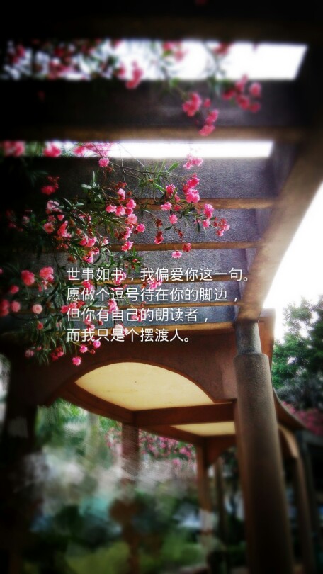 随手拍的照片的 觉得只有图干巴巴的就配了些自己很喜欢的文字 喜欢抱走就好