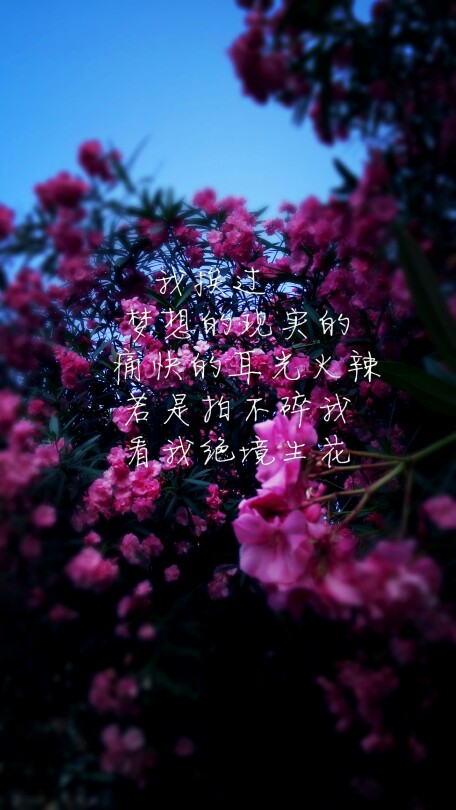 随手拍的照片的 觉得只有图干巴巴的就配了些自己很喜欢的文字 喜欢抱走就好