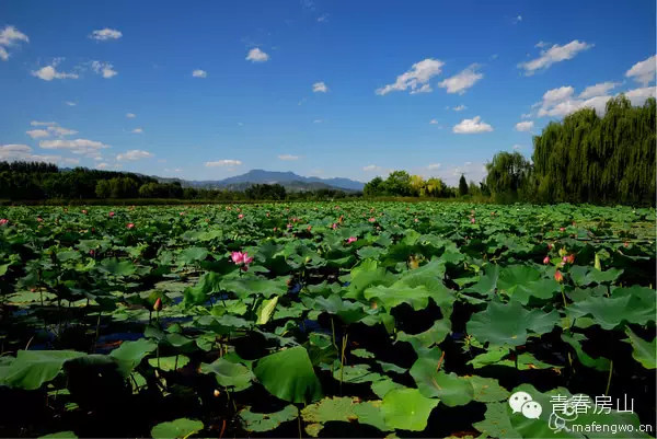 长沟湿地公园，比想象更美