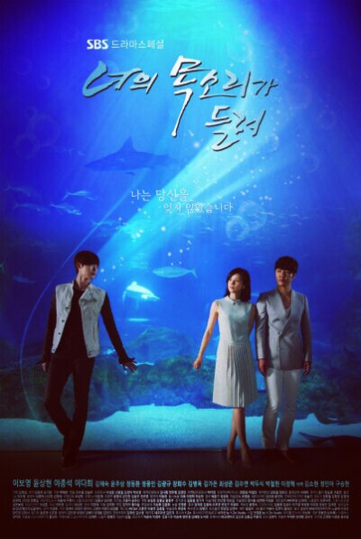 《听见你的声音》是韩国SBS电视台于2013年6月5日首播的奇幻爱情剧，由赵秀沅执导，朴惠莲编剧，李宝英、李钟硕主演。该剧讲述了1%存在的国选律师与拥有“读心术”的超能力少年之间的浪漫爱情故事。