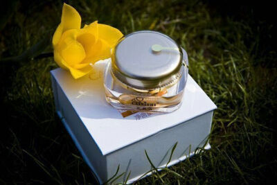 这是我送给我妈的节日礼物。个人认为效果和雅诗兰黛差不多，但价格要美丽太多太多了。自从用了她家面膜就很相信她家的牌子。采妮诗。