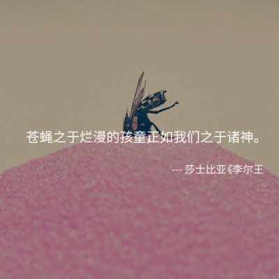 苍蝇之于烂漫的孩童，正如我们之于诸神。——莎士比亚《李尔王》