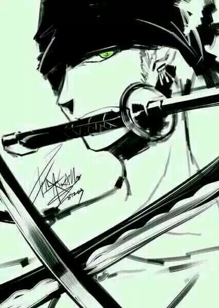 ZORO.帅。不解释。 「Hold.T」